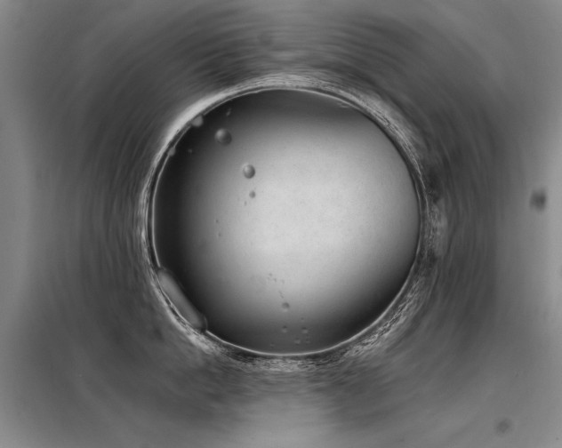 X0000098140862200804171545