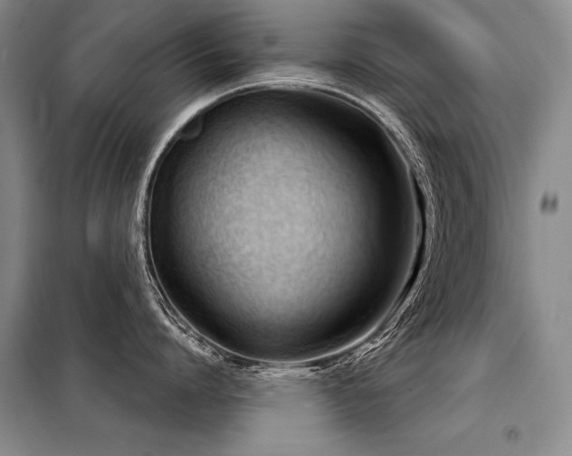 X0000098140864200804171545