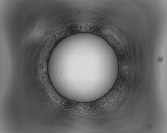 X0000098140865200804171544