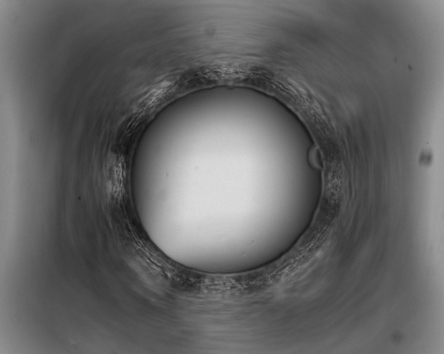 X0000098140866200804171544