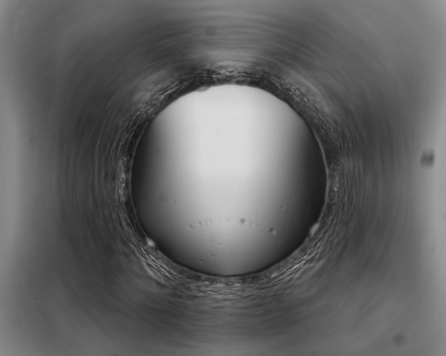X0000098140868200804171544