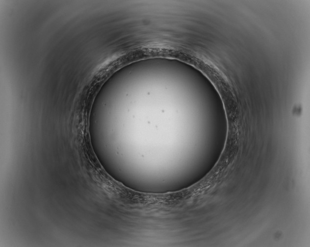 X0000098140870200804171544