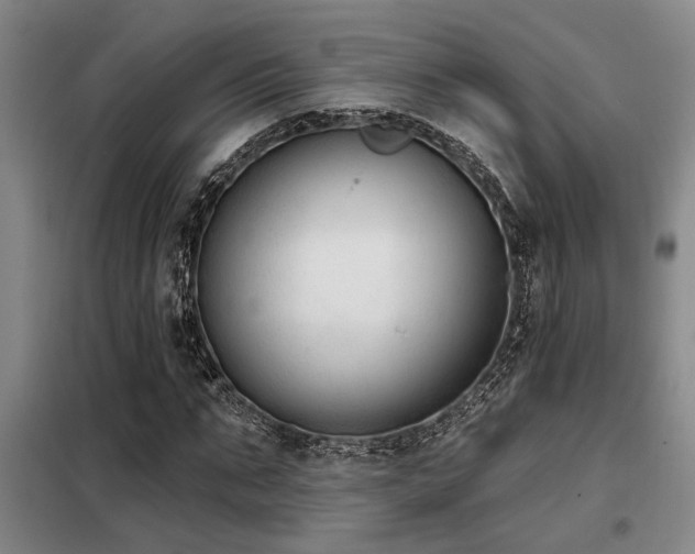 X0000098140871200804171544