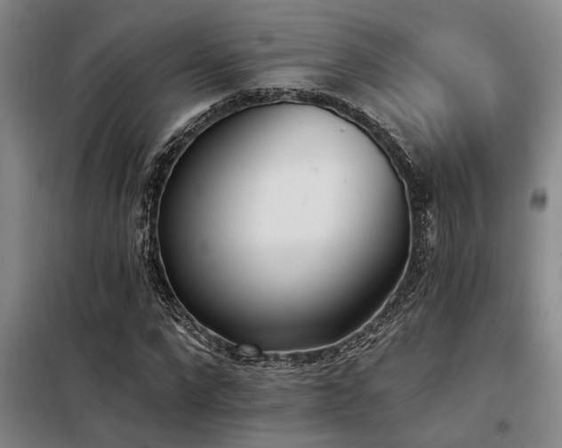 X0000098140872200804171544