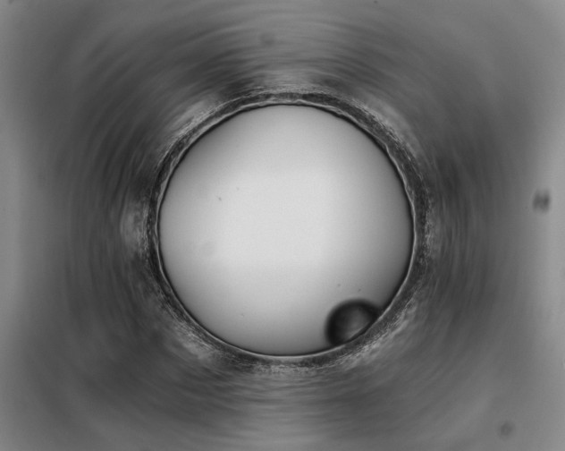 X0000098140873200804171544
