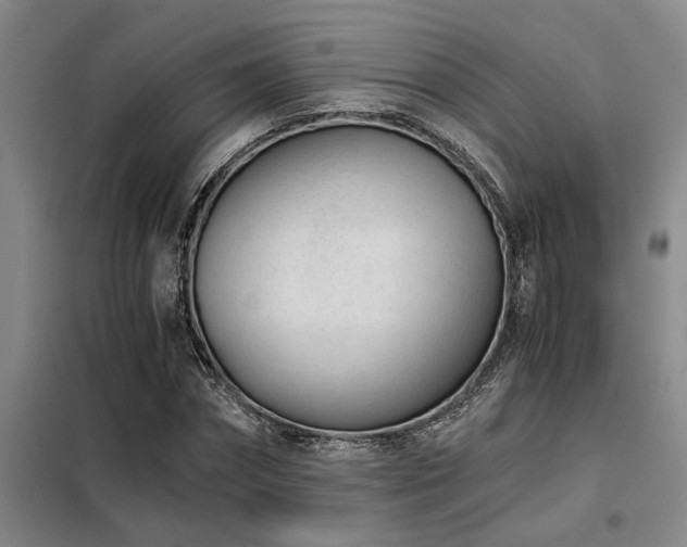 X0000098140874200804171544