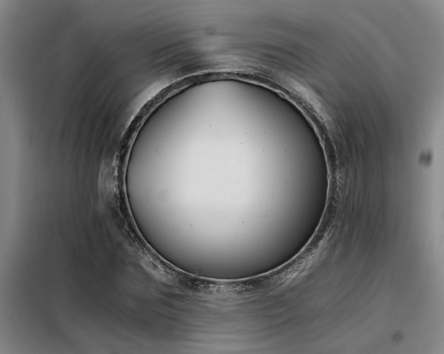X0000098140875200804171544