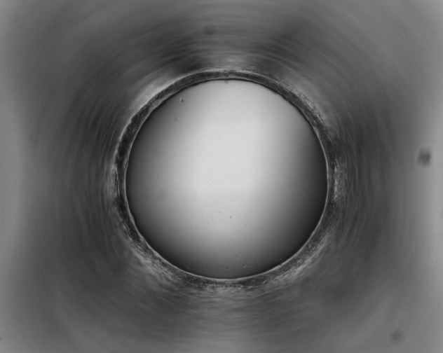 X0000098140876200804171544