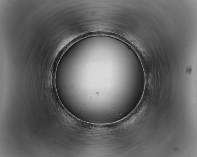 X0000098140877200804171544