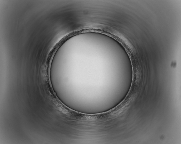 X0000098140878200804171544