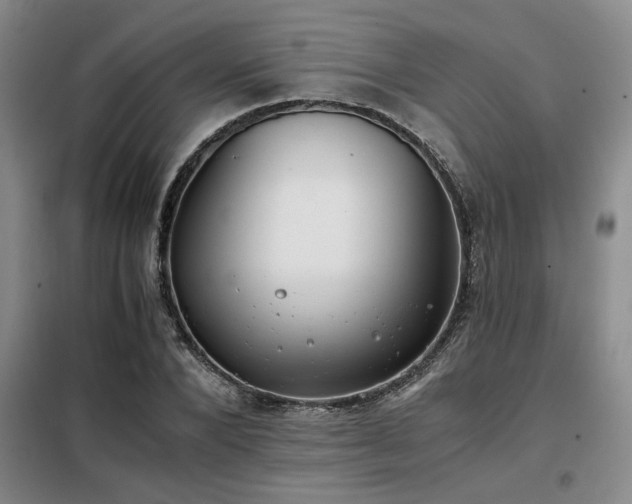 X0000098140880200804171544