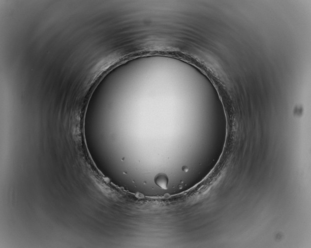 X0000098140881200804171544