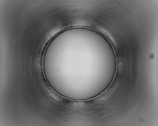 X0000098140882200804171544