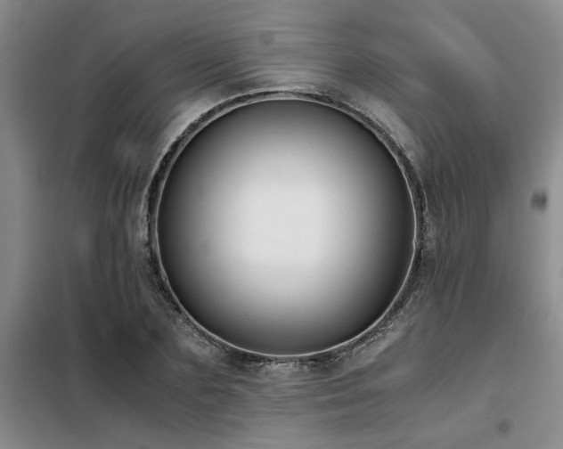 X0000098140883200804171544