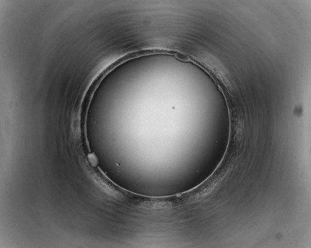 X0000098140884200804171544