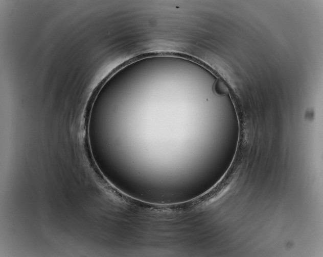 X0000098140885200804171544