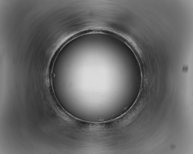 X0000098140887200804171544