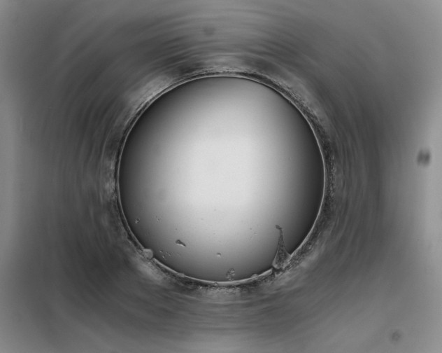 X0000098140889200804171544