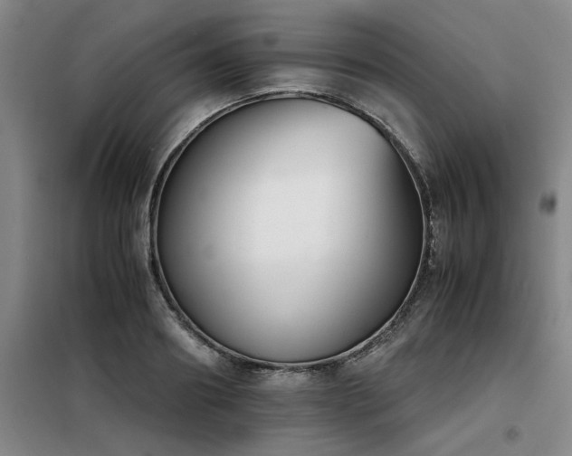 X0000098140890200804171544