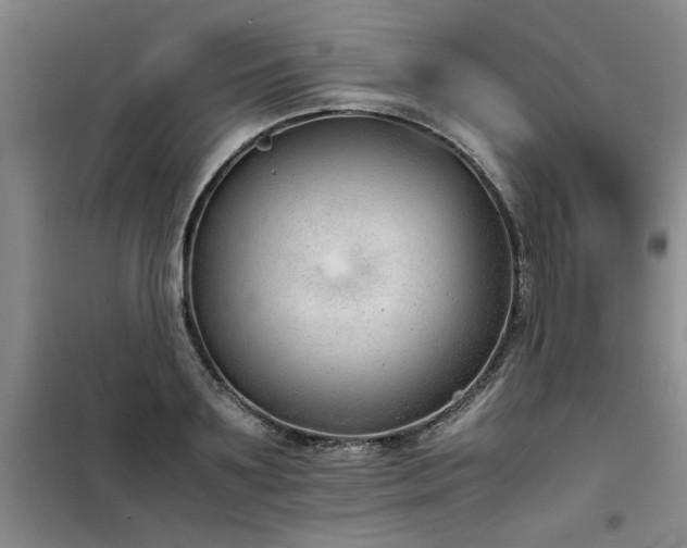 X0000098140891200804171544