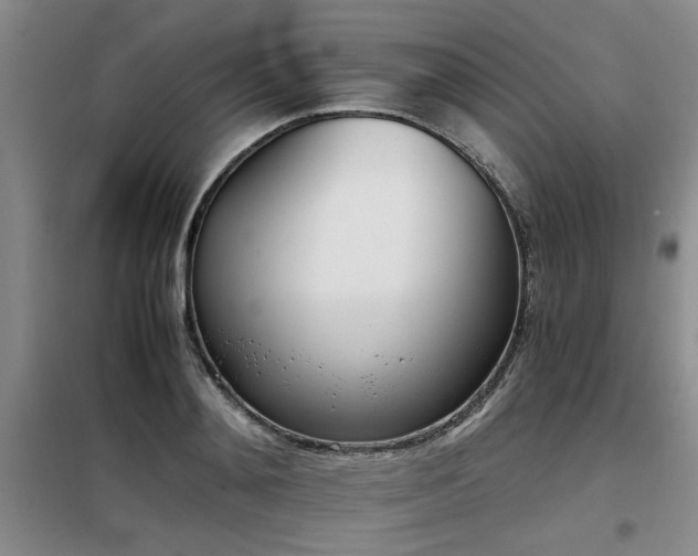 X0000098140892200804171544