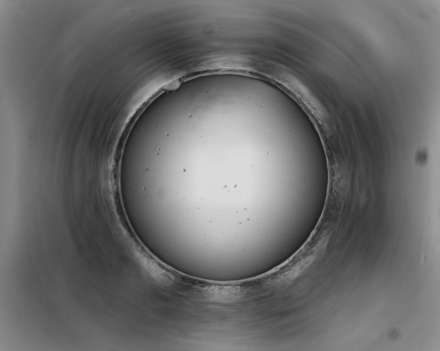 X0000098140893200804171544
