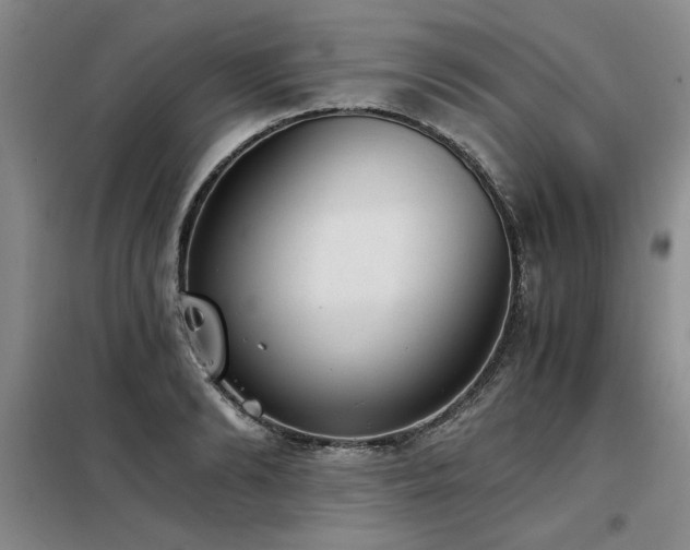 X0000098140894200804171544