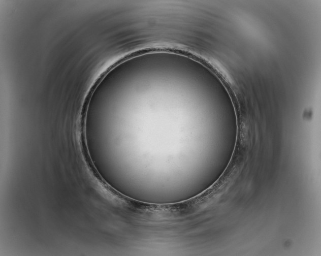 X0000098140895200804171544