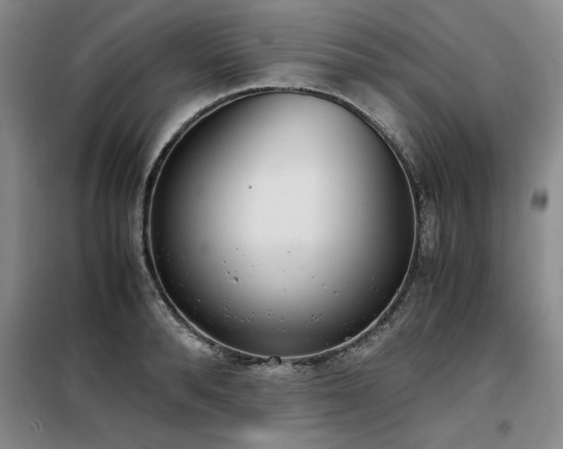 X0000098140896200804171544