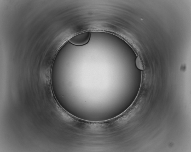 X0000098140897200804171544