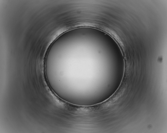 X0000098140898200804171544