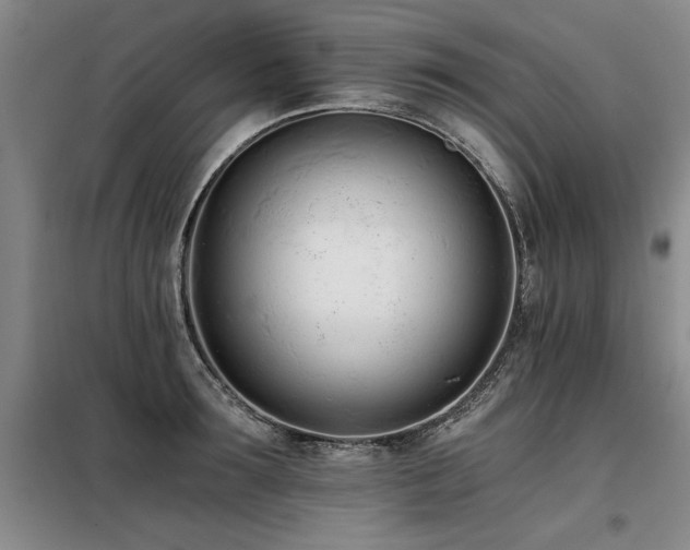 X0000098140899200804171544