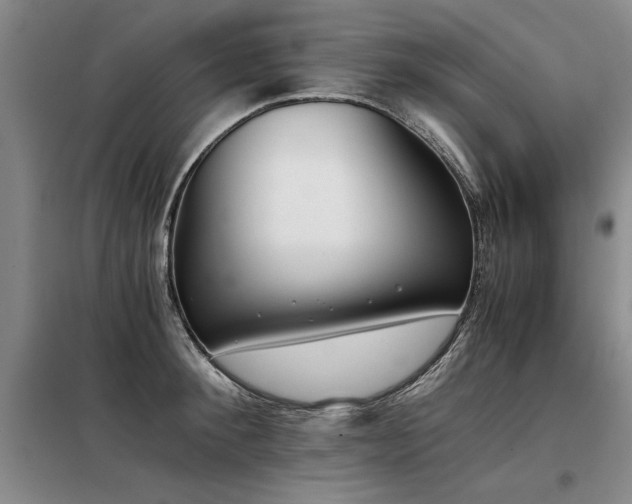 X0000098140900200804171544