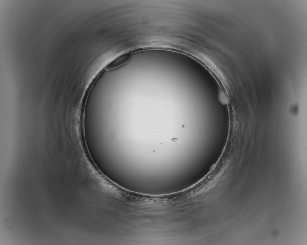 X0000098140901200804171544