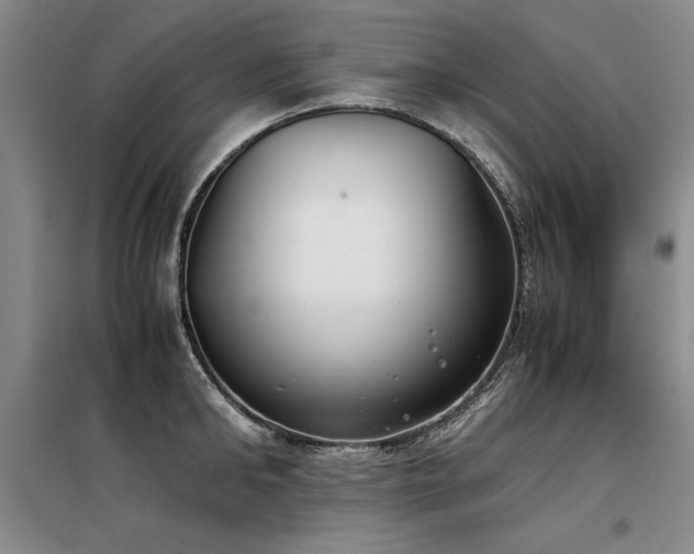 X0000098140902200804171544