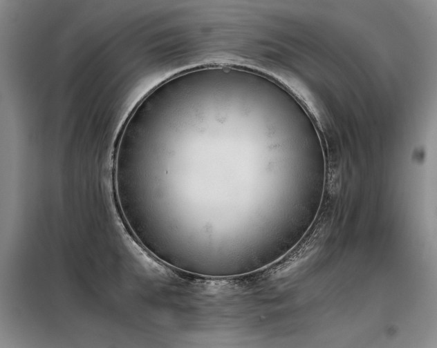 X0000098140903200804171544
