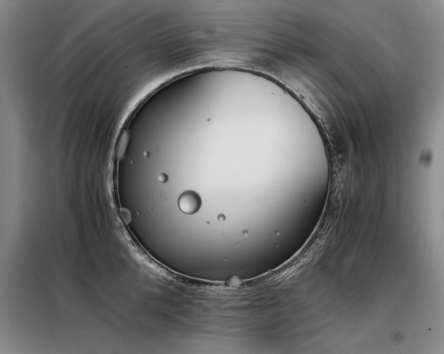 X0000098140904200804171544