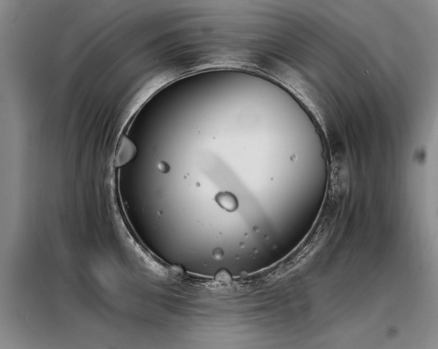 X0000098140906200804171544