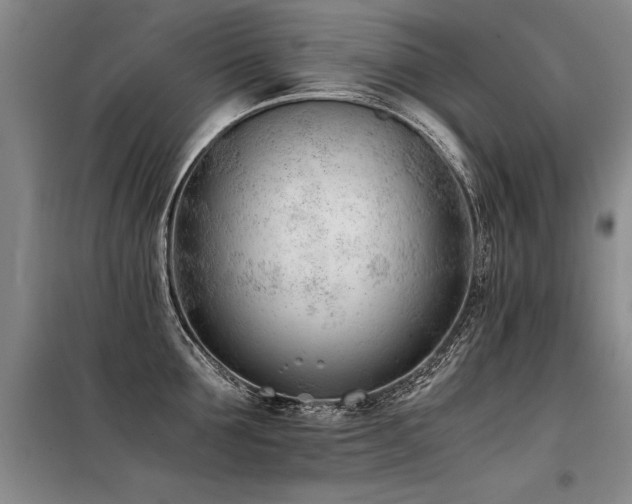 X0000098140907200804171544