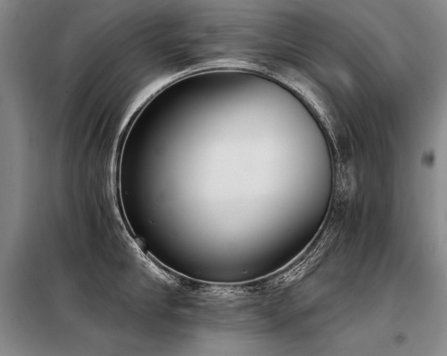 X0000098140910200804171544