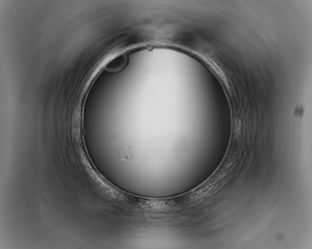 X0000098140911200804171544