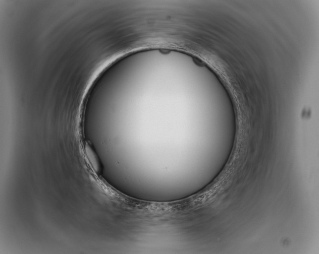 X0000098140912200804171544