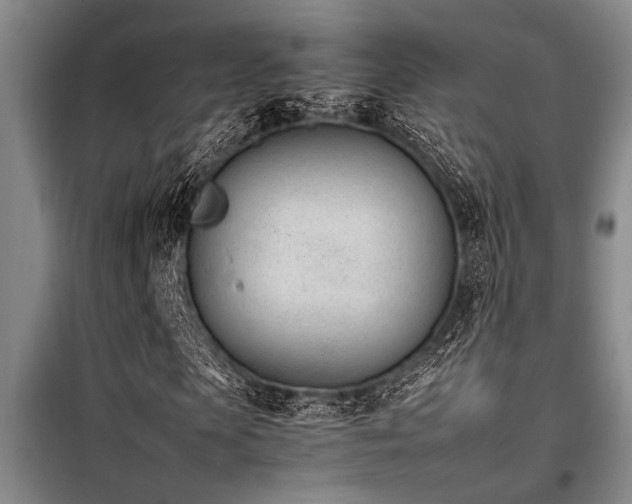 X0000098140913200804171543