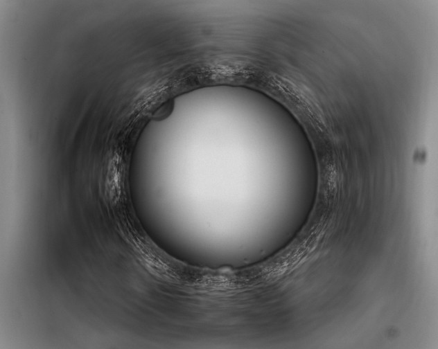 X0000098140914200804171543