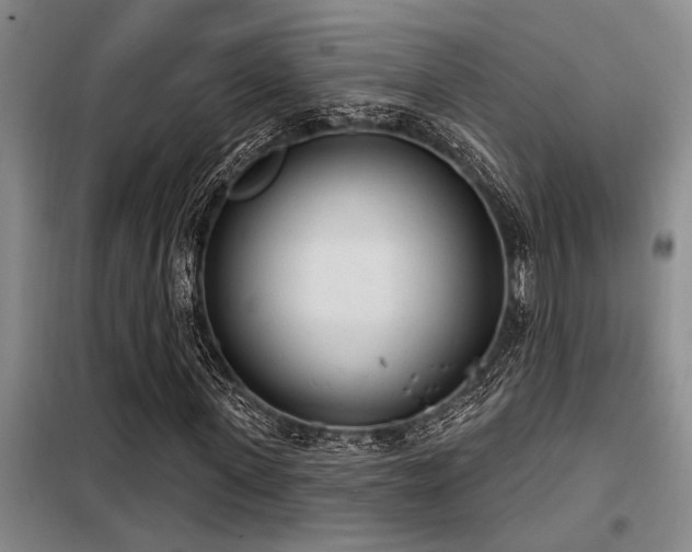 X0000098140915200804171543