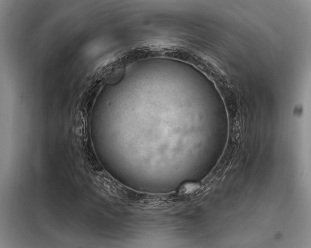 X0000098140917200804171543