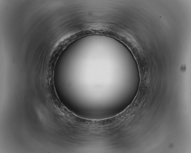 X0000098140920200804171543