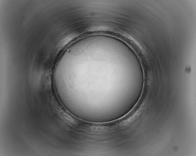 X0000098140921200804171543