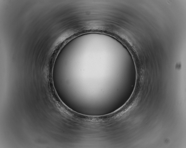 X0000098140922200804171543