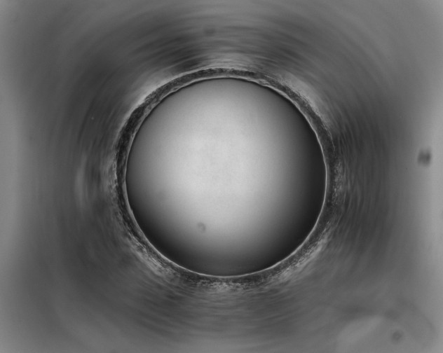 X0000098140923200804171543